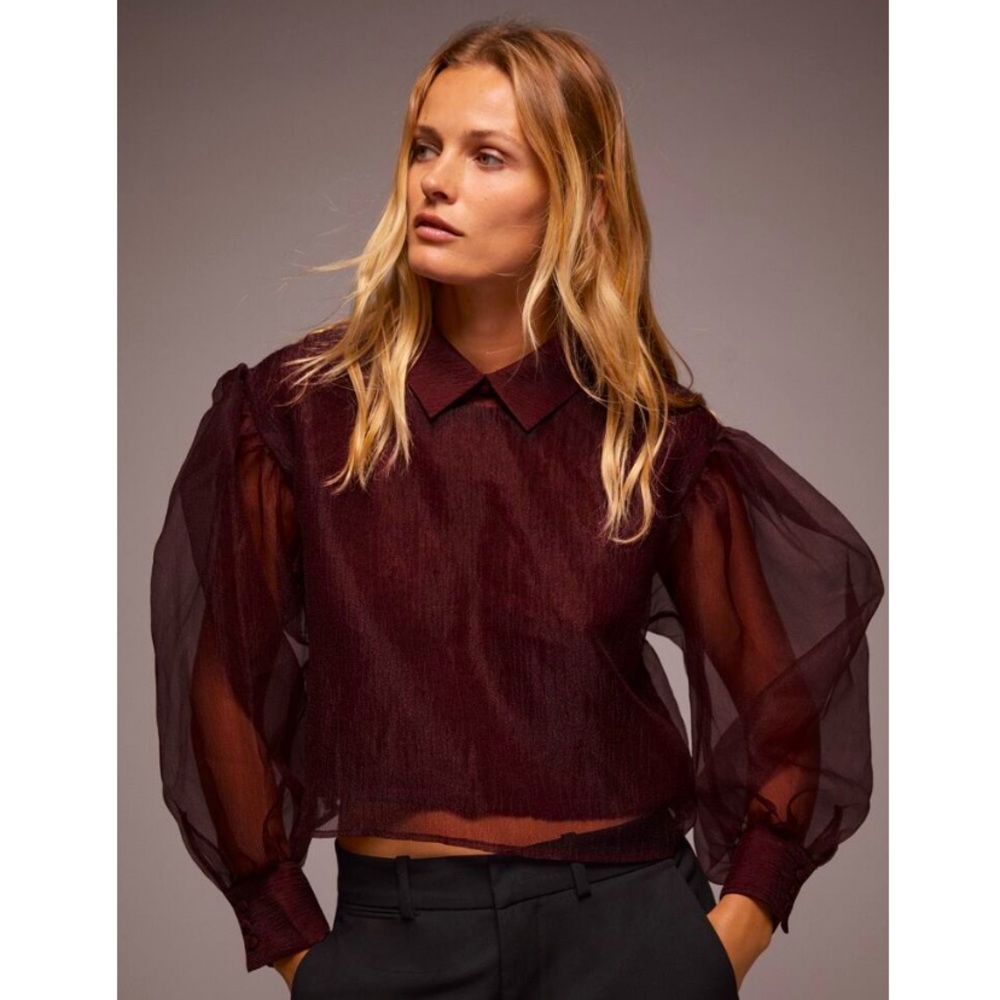 ZARA Limited Edition Organza Sweater